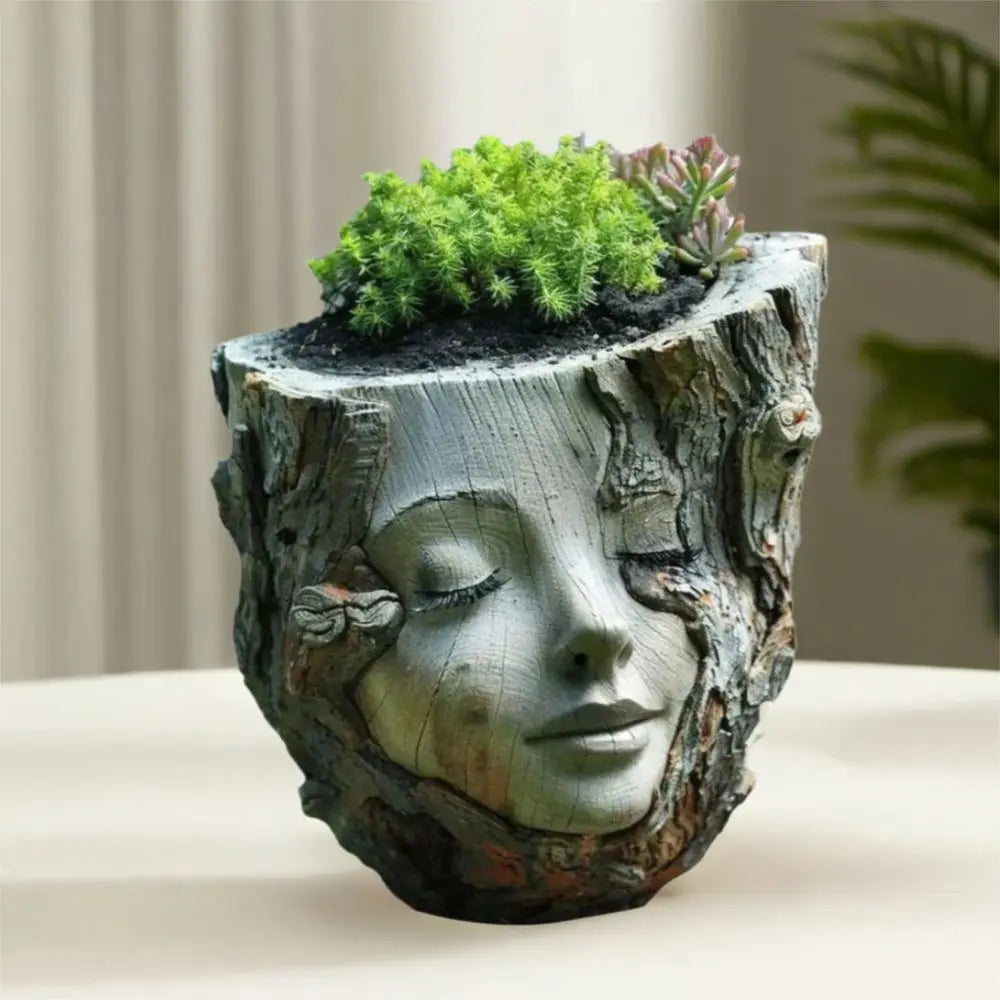 pot fleurs visage fille tronc arbre écorce succulentes décoratif nature