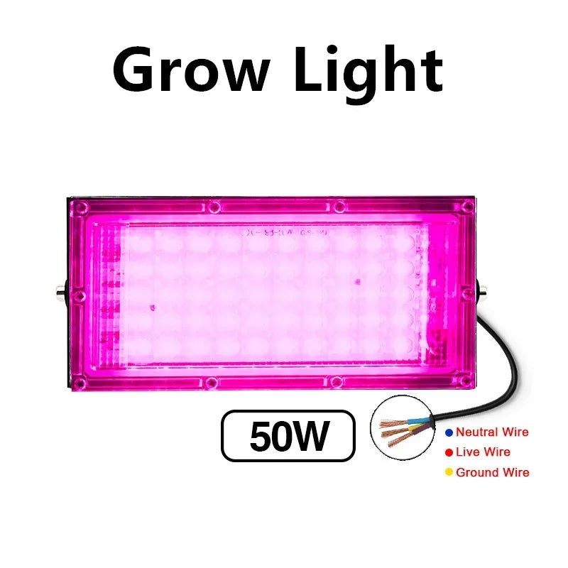 lampe led full spectrum 50w 100w noir blanc rose moderne clips cabled interrupteur grow