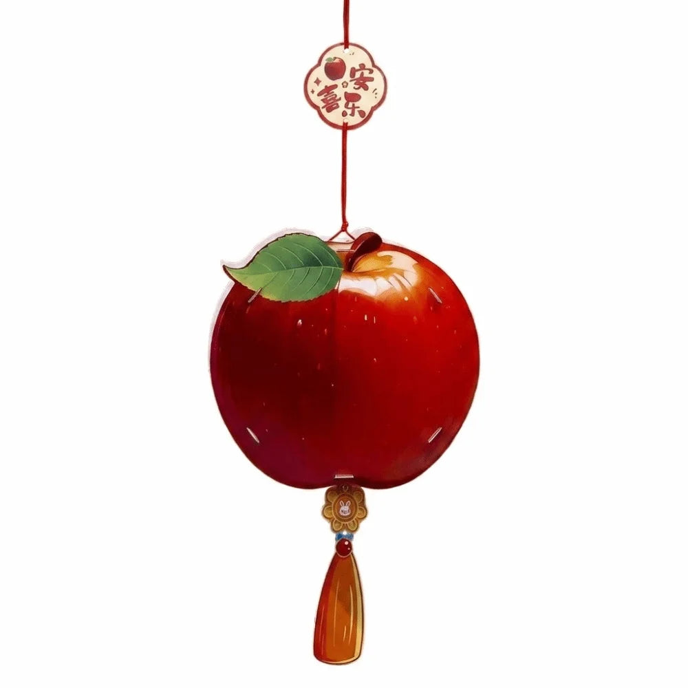 lanternes décoratives fleurs fruits corde rose vert rouge transparent traditionnel anniversaire noël mariage