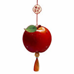 lanternes décoratives fleurs fruits corde rose vert rouge transparent traditionnel anniversaire noël mariage