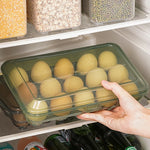 boîtes œufs transparentes poignées couleurs noir vert olive moderne pratique conteneur réfrigérateur