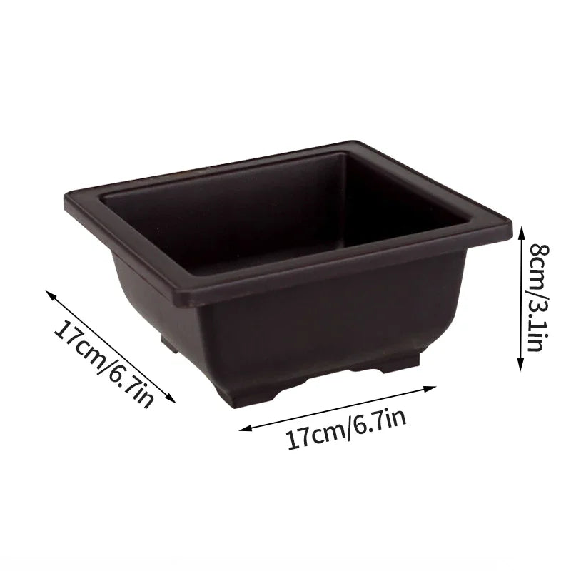 pot plante intérieur moderne noir rectangulaire support grille drainage succulente