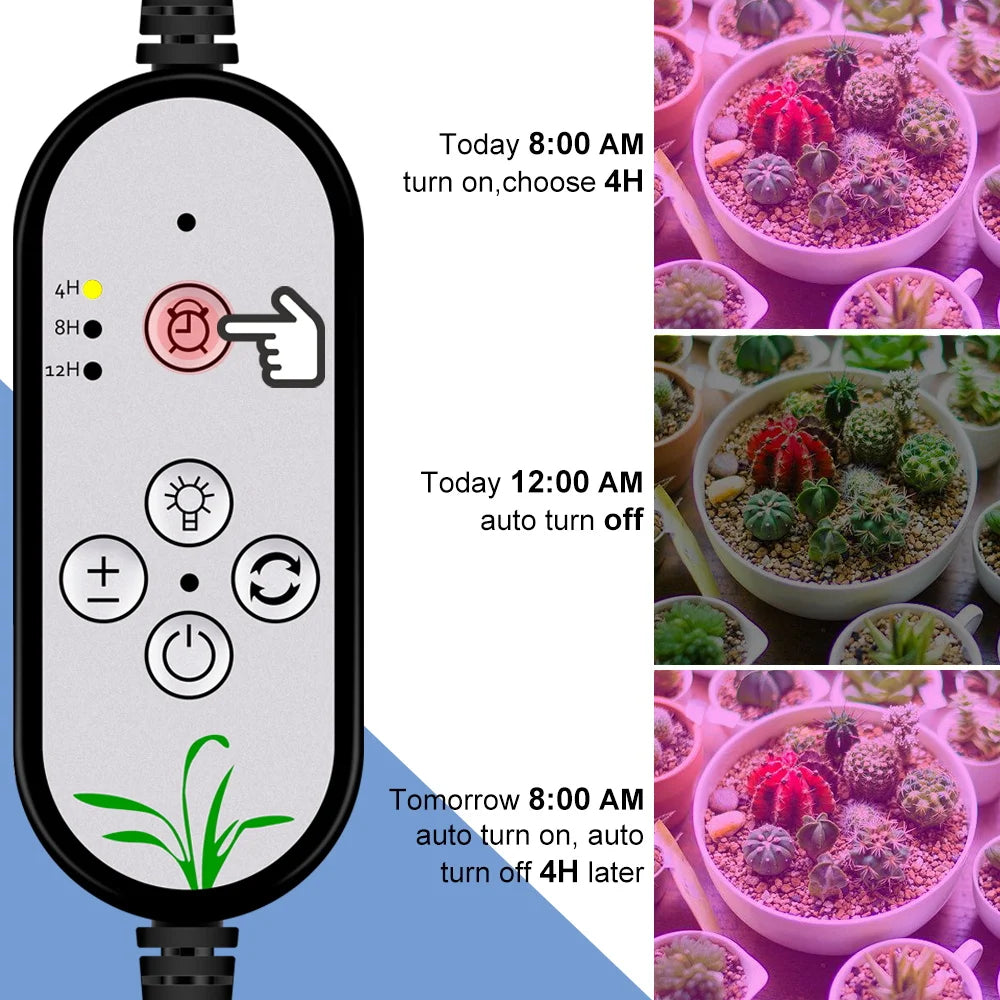 lampe croissance led noir moderne minuterie usb 5v têtes crochets réglable auto