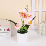 décoration intérieure orchidées artificielles pots blancs fleurs simples feuilles vertes moderne