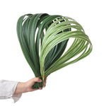 feuilles végétales décoratives composition florale vert blanc orchidées extérieures simulation herbe