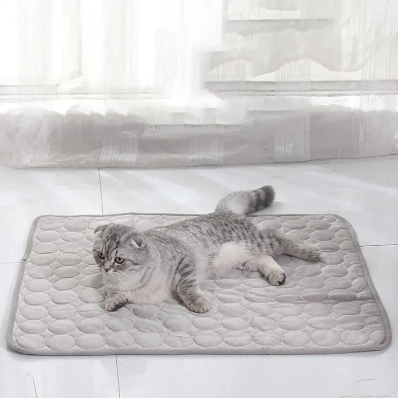 tapis quilted rafraichissant moderne chat bleu clair gris confortable été 40x30cm 50x40cm