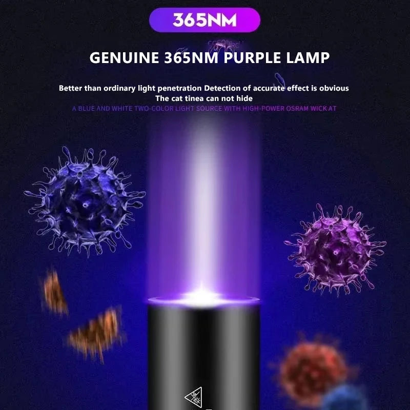 lampe uv rechargeable flashlight 365nm test fluorescence chat toupie monnaie moderne utilitaire