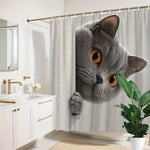 rideau douche chaton gris blanc motif humoristique moderne tringle texture polyester blanc fond