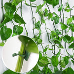 support mural plantes grimpantes clips autoadhésifs vert clair moderne minimalisteintérieur extérieur facile montage détachement