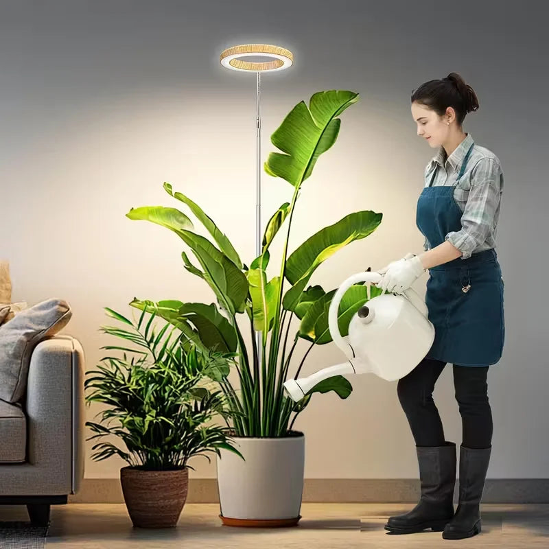 lampe croissance led 72 diodes ajustable hauteurs 10 65 pouces moderne blanc doré