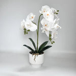 décoration intérieure orchidées artificielles fleurs douces rose blanc pot blanc gravier moderne élégant accroché
