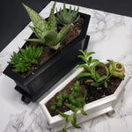 cache pot rectangulaire noir blanc epoxy classique pieds plantes vertes