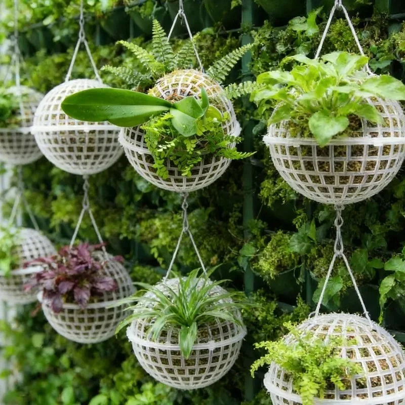 boule culture plante plastique blanc grille circulaire moderne suspendue jardin drainage transparent opacité