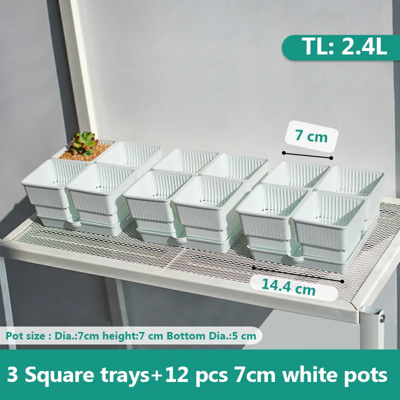 pots succulentes blancs modernes entailles drainage 6cm 7cm cactus pierres