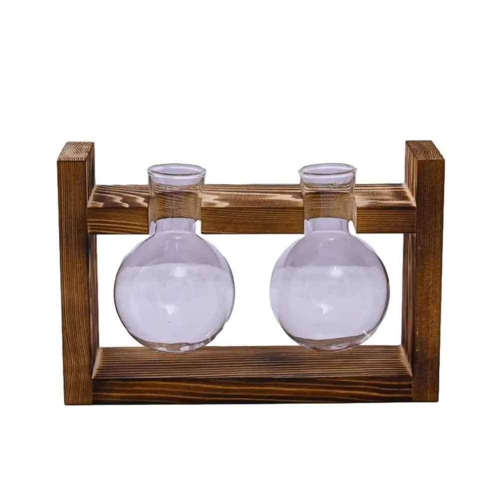 vases transparents modernes verre rond geometrique decoration plante verte