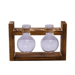 vases transparents modernes verre rond geometrique decoration plante verte