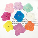 fleurs séchées hybrides orange rose violet bleu décoration maison intérieure DIY craft deco festive