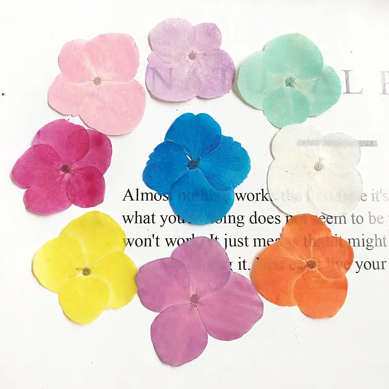 fleurs séchées hybrides orange rose violet bleu décoration maison intérieure DIY craft deco festive