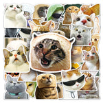 stickers adhésifs chats expressions faciles utiliser variés cartoongrats décoration jouets différents amusants