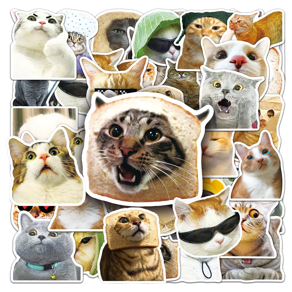 stickers adhésifs chats expressions faciles utiliser variés cartoongrats décoration jouets différents amusants