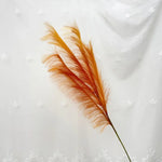 plumes décoratives intérieures violet bleu rose jaune orange blanc rouge naturel simple