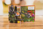 cartes postales 3d illustratives animaux fleurs oiseaux barbelés boîte lettres bouteilles herbe rouge vert