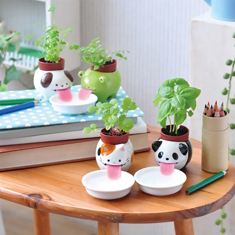 pots fleurs animaux chien chat panda grenouille blanc noir rose vert
