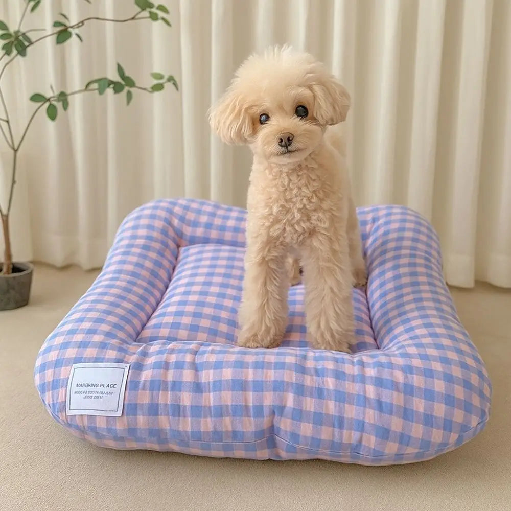coussin animal velours côtelé carreaux bleu clair jaune rose blanc confortable moderne