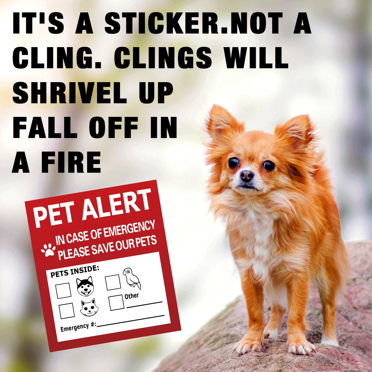 autocollants urgence animaux compagnie chiens chats oiseaux pompe incendie numéro d'urgence graphique informatif stickers