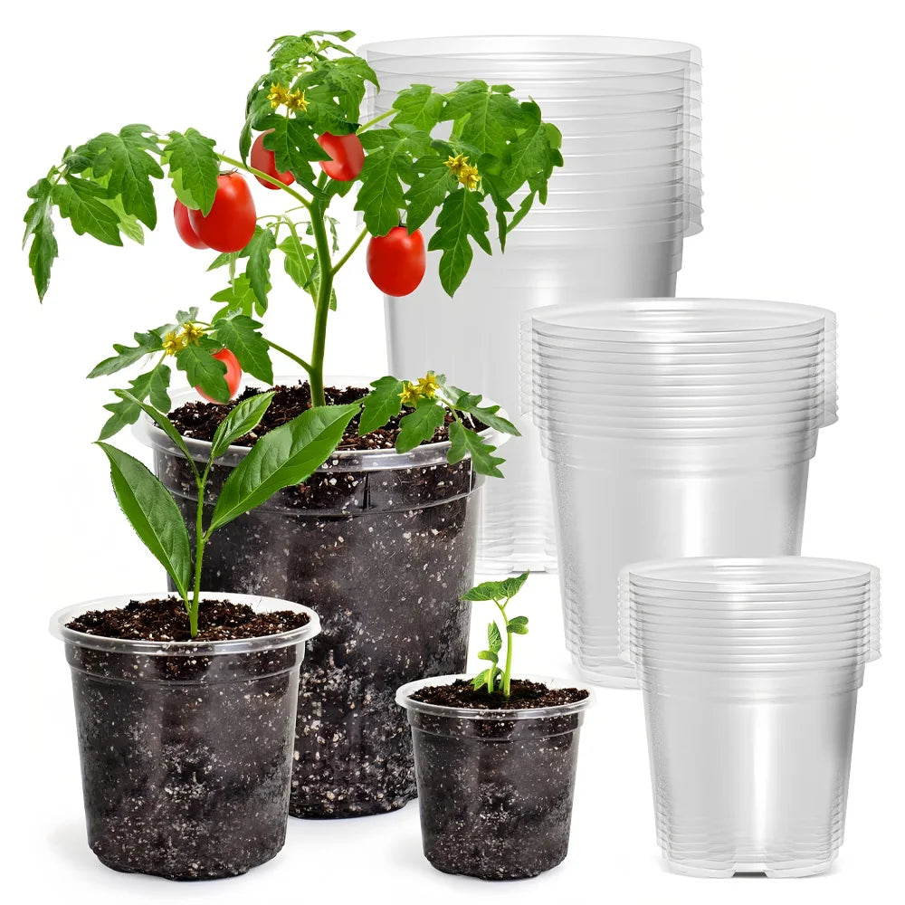 pots semis transparents plastique pots culture taille pouces drainage fleurs plantes jardinage
