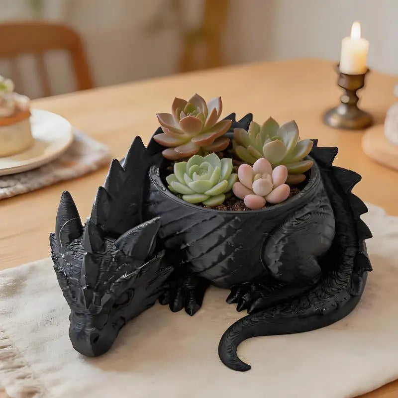 cache plante dragon noir blanc écaille fantaisie articulé succulentes