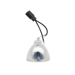 ampoule projecteur transparente argentée lisse moderne tringle connecteur électrique