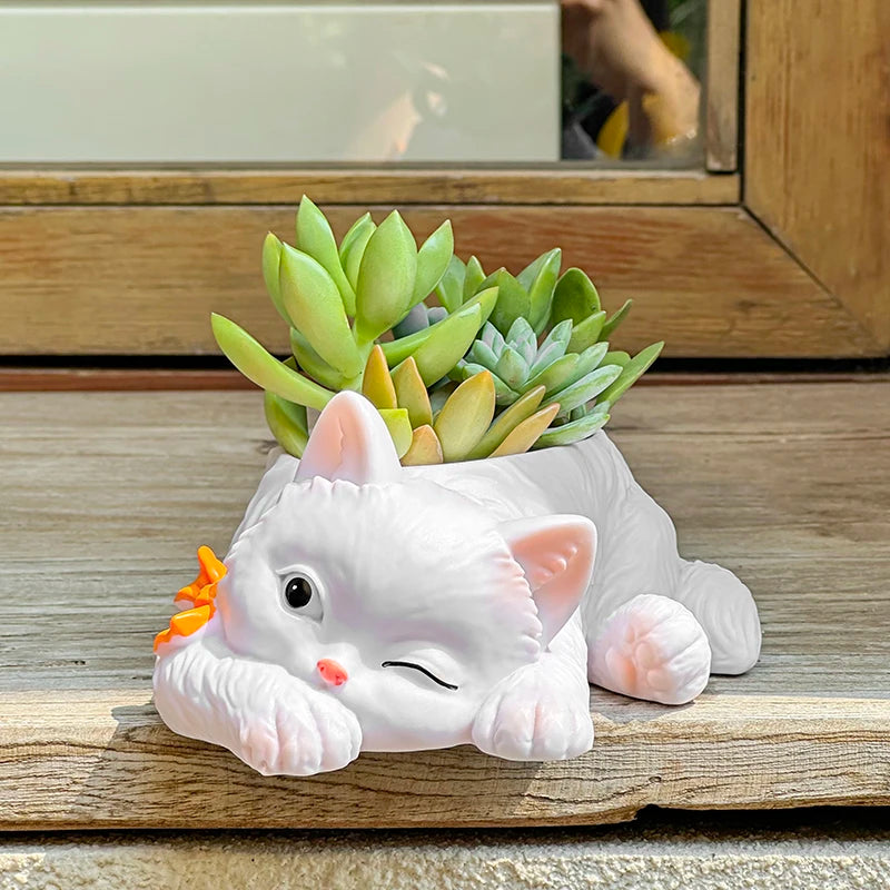 chat mignon pot succulentes plante verte deco maison balcon salon dessin animé