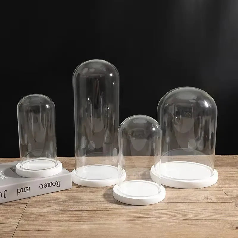 cloches verre transparentes moderne base bois blanc antipoussiere boite exposition 20cm diametre
