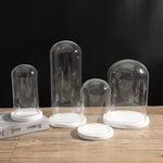 cloches verre transparentes moderne base bois blanc antipoussiere boite exposition 20cm diametre