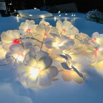 guirlande lumineuse fleurs blanc moderne décoration mariage anniversaire noël féerique événement festive