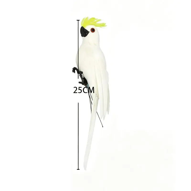 ornement animal perroquet rouge blanc vert jaune bleu rose plumes brillantes pieds extérieur intérieur