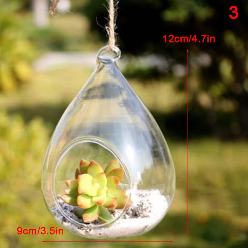 terrarium suspendu verre transparent plante mousse fleur moderne minimaliste