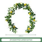 guirlande citrons feuilles eucalyptus fleurs blanches intérieur décoration naturelle vert jaune blanc festive anniversaireextérieur