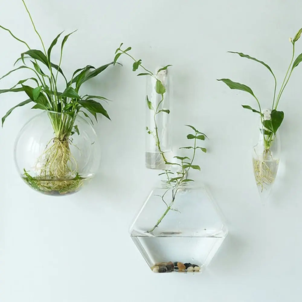 vases suspendus verre moderne transparent hexagonaux coniques plantes aquariatsintérieur minimaliste