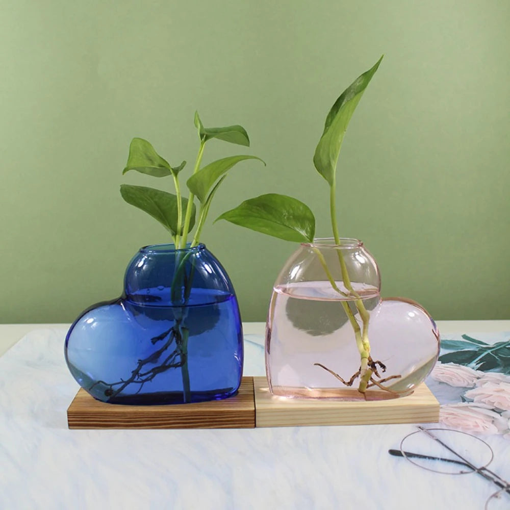 vase verre forme cœur transparent moderne plante verte support bois