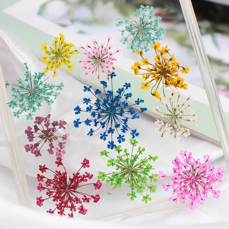 fleurs séchées multicolores bouquet naturel artisanal décoration maison anniversaire baby shower pendaison crémaillère