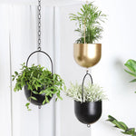 Cache pot suspendu moderne or noir plante verte chaîne métallique intérieur extérieur jardin balcon