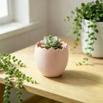 cache pot moderne jaune rose violet oeufs cassés plastique décoration intérieure ornement