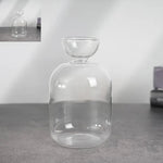 Pot plante moderne transparent coloré hauteur 15cm eau plante inclusion rose orange bleu vert