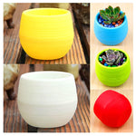cache pot résine coloré moderne rayures horizontales plante succulente bleu blanc jaune rouge vert
