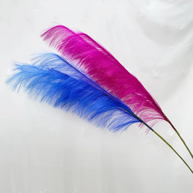 plumes décoratives intérieures violet bleu rose jaune orange blanc rouge naturel simple