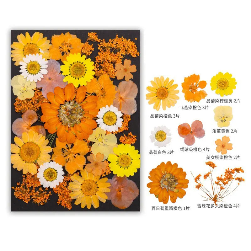 fleurs séchées orange naturelles artisanal décoration maison intérieur variées rouges vertes jaunes blanches bricolage