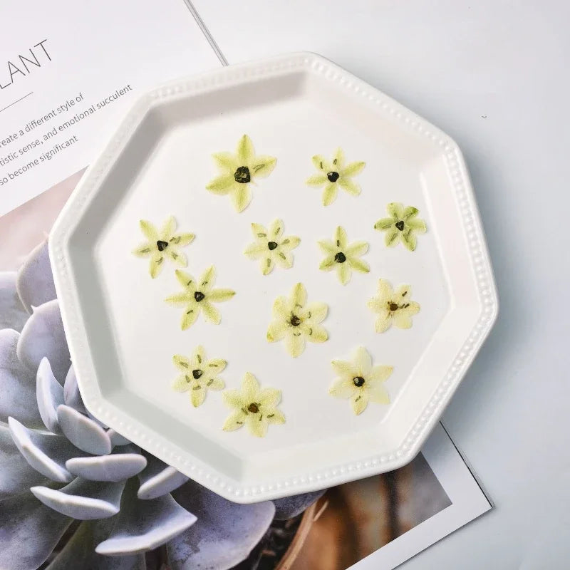 fleurs séchées décoratives vert clair jaune pâle naturelles miniatures décoration intérieure bricolage bijoux
