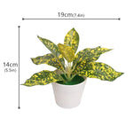 plantes artificielles vertes pot feuilles simples moderne décoration intérieure table ordinateur